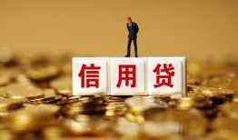 东莞19哪有个人借贷-东莞19小额贷款公司-东莞19私借空放免费上门