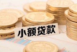 东莞19身份证贷款平台-东莞19私人借贷不查征信-东莞19空放借钱