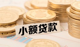 东莞19身份证贷款平台-东莞19私人借贷不查征信-东莞19空放借钱